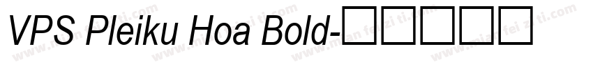 VPS Pleiku Hoa Bold字体转换
